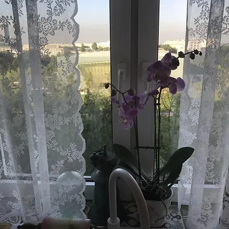 Apartament Karmelicka 19 Muzeum Polin