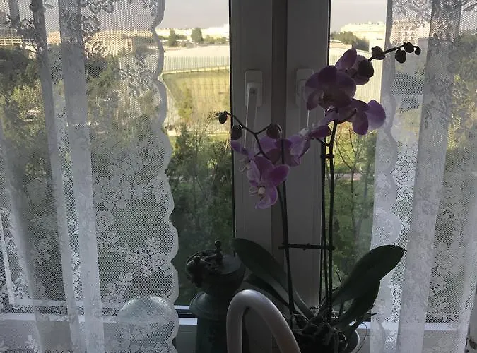 Apartament Karmelicka 19 Muzeum Polin